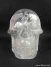 Kryształ górski - czaszka (9x12x11 mm)_1